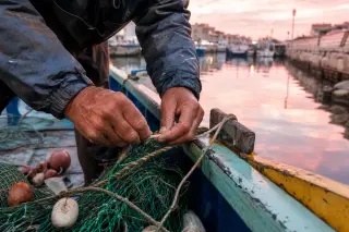 Rough hands tying a fishing knot on a boat's rail at dawn in a small Mediterranean port, with fishing gear and soft pink early light.