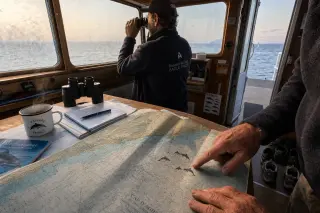 Inside a boat's cabin, a naturalist guide points at a nautical chart while another person looks out at sea through binoculars, early morning light creating a calm, authentic mood.